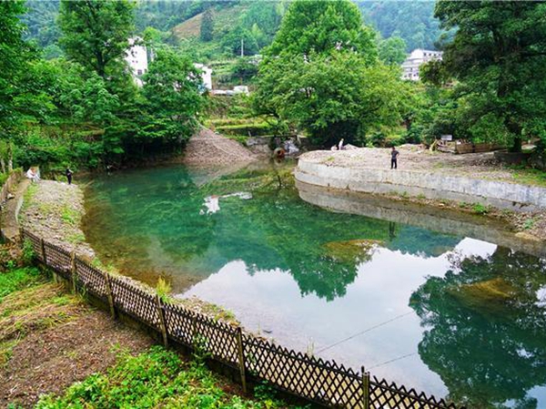 富硒村安徽省池州市大山村